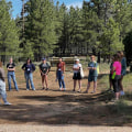 Overcoming Challenges: Providing Community Services in Northern Utah