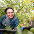 The Power of Community Service in Preserving Northern Utah's Environment
