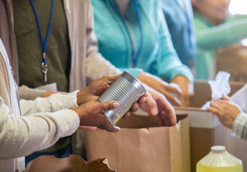 The Power of Volunteering: Making a Difference in Northern Utah