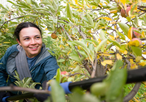 The Power of Community Service in Preserving Northern Utah's Environment